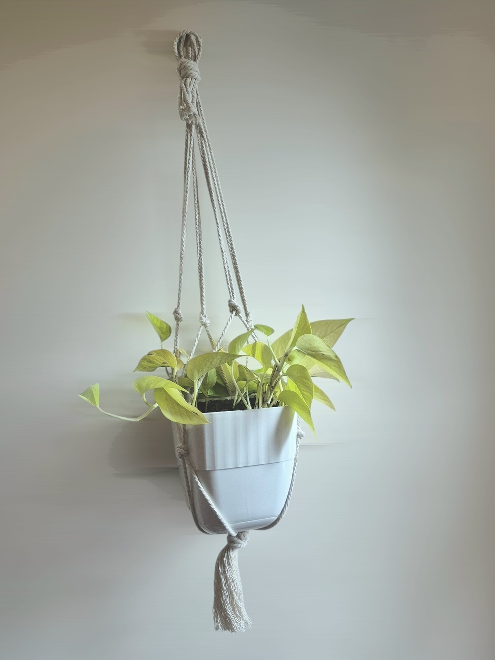 Cream White Macrame Hanging Planter